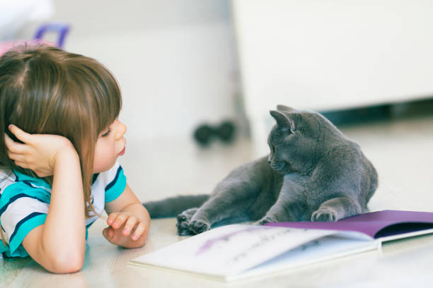 How To Describe A Cat In A Story (10 Best Ways)